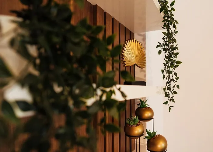 Apartament Cozy Special Pallady With Garden & Courtyard