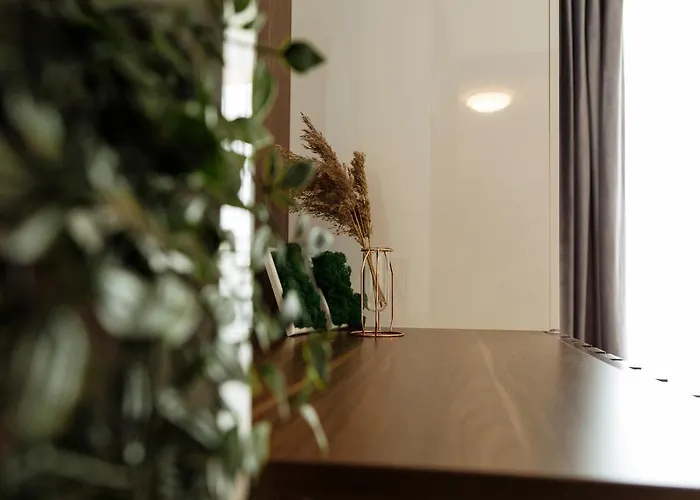 Cozy Special Pallady With Garden & Courtyard Apartament